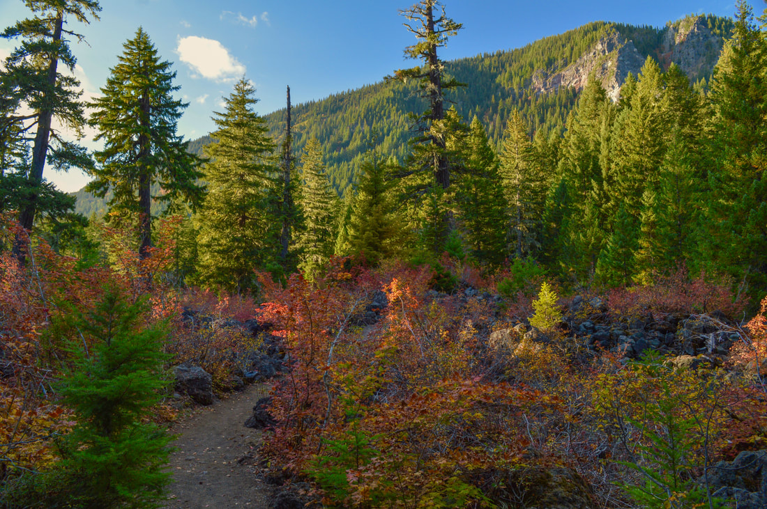 Underrated Fall Foliage Hikes In Oregon - Hike Oregon